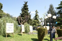 DSC07055