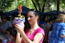 DSC07491