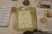 DSC07559