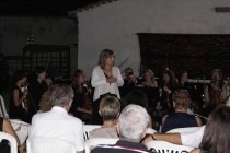 DSC08151