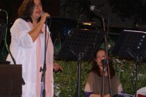 DSC00520