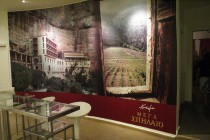 cavino8