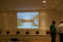 cavinoa10