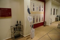 cavinoa11