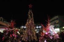 DSC01257