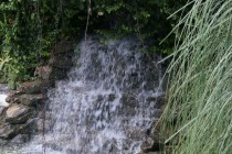 DSC04306