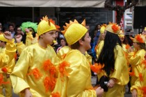 DSC05950