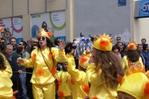 DSC05953