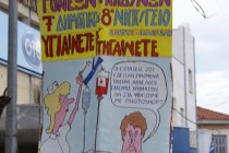 DSC06003